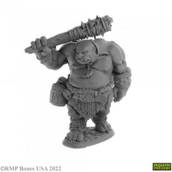 Reaper Miniatures - Bones USA: Dungeon Dwellers