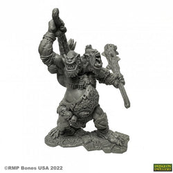 Reaper Miniatures - Bones USA: Dungeon Dwellers