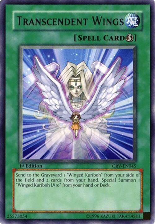 Transcendent Wings