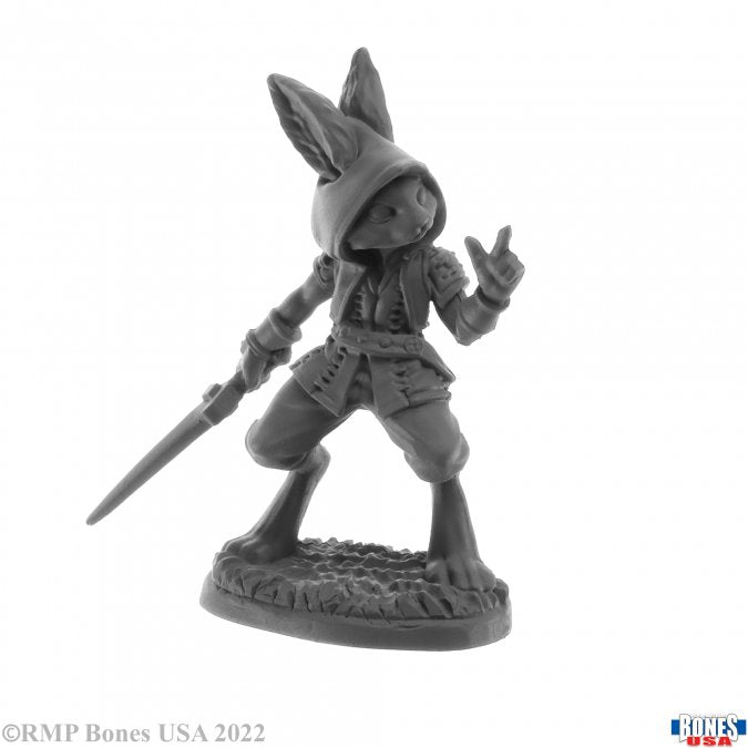 Reaper Miniatures - Bones USA: Reaper Legends