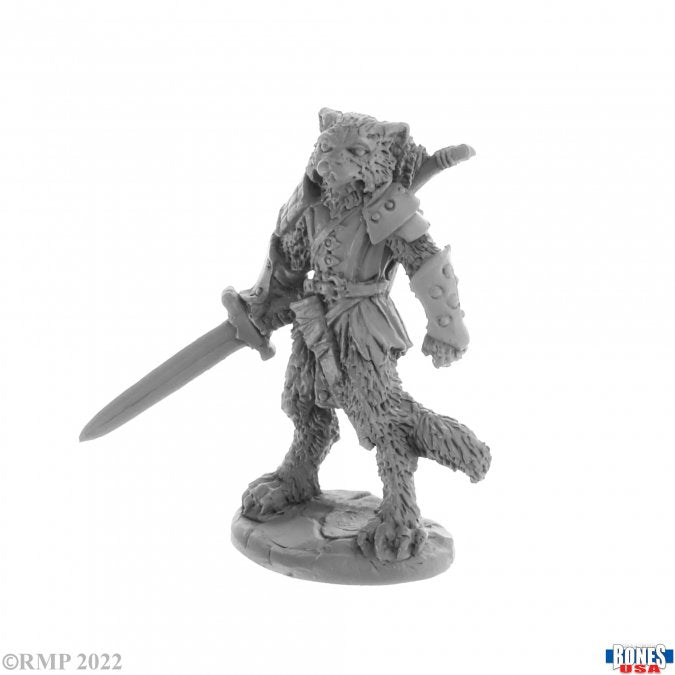 Reaper Miniatures - Bones USA: Reaper Legends