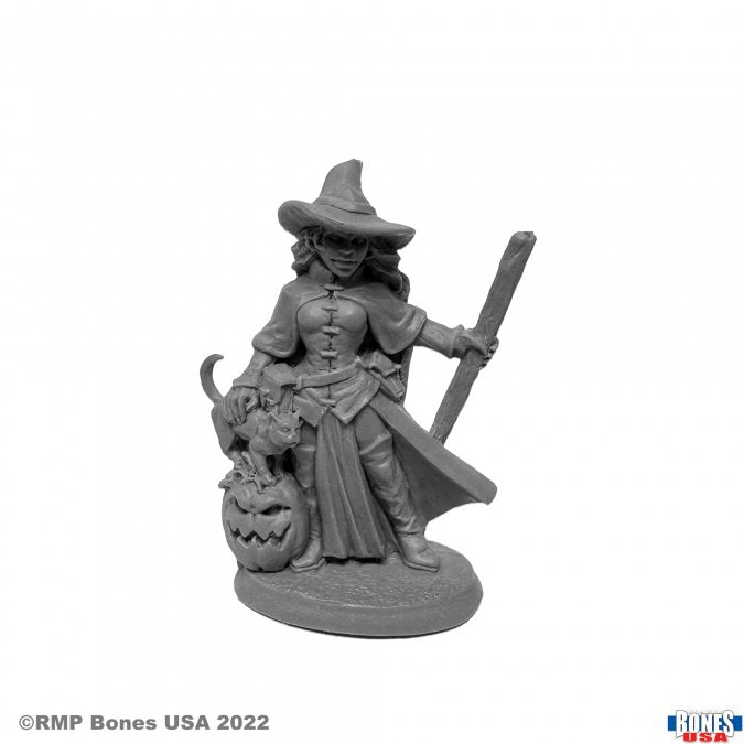 Reaper Miniatures - Bones USA: Reaper Legends