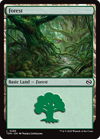 Forest (0286) [Tarkir: Dragonstorm]