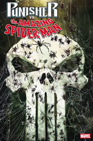 Punisher vs. Spider-Man #2 Rod Reis Variant