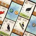Wingspan Pocket (2026) - Stonemaier Games