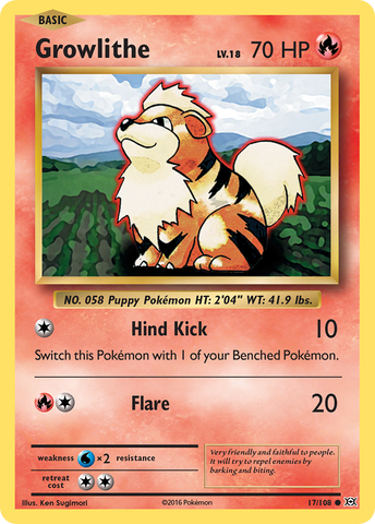 Growlithe (17/108) [XY: Evolutions]